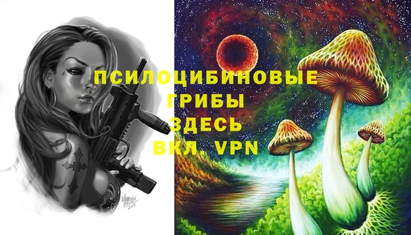 хмурый Балабаново
